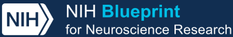 Blueprint graphic National Institutes of Health Blueprint for Neuroscience Research