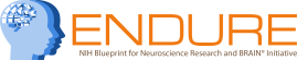 ENDURE logo final copy ENDURE program logo for National Institutes of Health