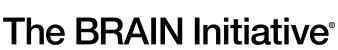 The Brain Initiative Logo