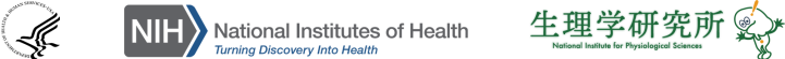 US- Japan Footer with department of Health and Human services logo, National Institutes of Health and the National Institute for Physiological Health logo